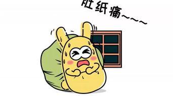 吃瓜群众十二,揭秘生肖背后的趣味故事