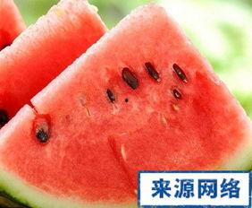 吃瓜长胖了,揭秘“吃瓜长胖”背后的真相