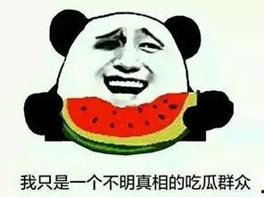 评论中国吃瓜视频