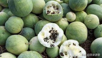 嗑瓜籽吃瓜群众,揭秘网络时代的围观文化