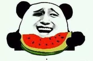 吃瓜情感方面,揭秘娱乐圈的甜蜜与苦涩