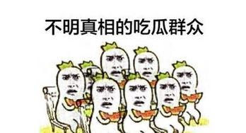网络吃瓜群众图,揭秘网络舆论场的众生相