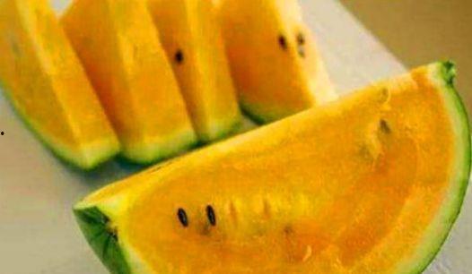 什么瓜是吃瓤,探索瓜类食用新风尚