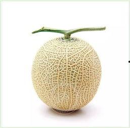 怎么吃瓜才过瘾,揭秘如何吃瓜才过瘾