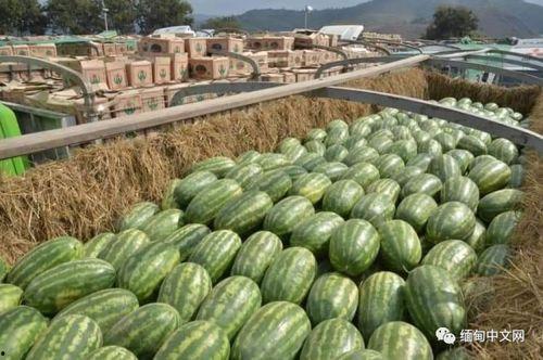 缅北战争云南吃瓜