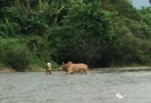 老挝吃瓜人,悠闲生活，品味吃瓜人生