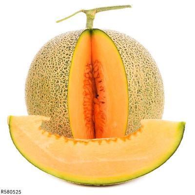 小螳螂吃哈密瓜吗,小螳螂的哈密瓜盛宴