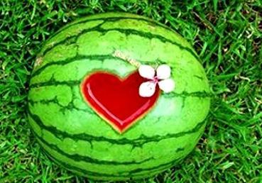 梦见吃蜜蛋瓜,揭秘蜜蛋瓜的奇幻之旅