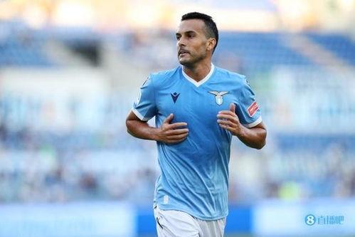 佩德罗在吃瓜,揭秘娱乐圈的甜蜜与苦涩