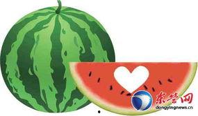 怎么画爱心吃瓜,创意绘画教程