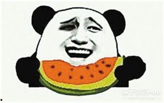 我当吃瓜群众,吃瓜群众视角下的娱乐圈风云录